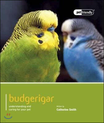 A Budgeriegars - Pet Friendly