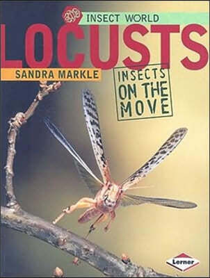 Locusts