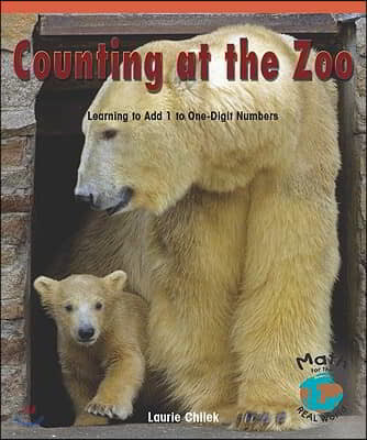 Counting at the Zoo: Learning to Add 1 to One-Digit Numbers