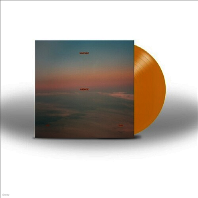 Warpaint — Radiate Like This (US Indie Exclusive) 앨범 커버