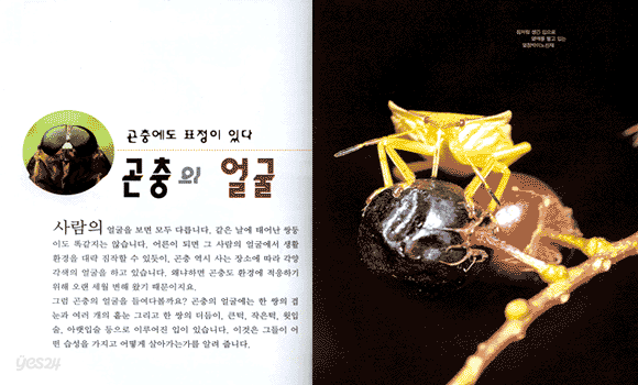 곤충의 비밀