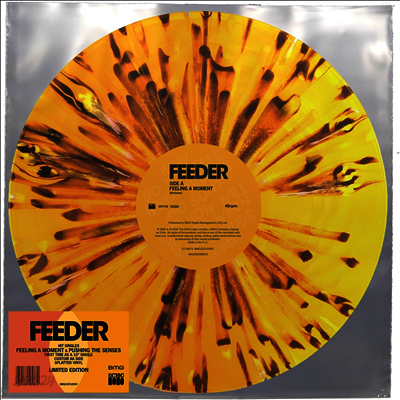 Feeder - Feeling A Moment / Pushing The Senses (US Indie Exclusive)(45RPM)(Ltd)(10 Inch Single Colored LP)