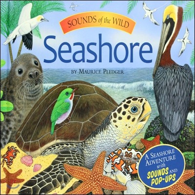 Sounds of the Wild: Seashore
