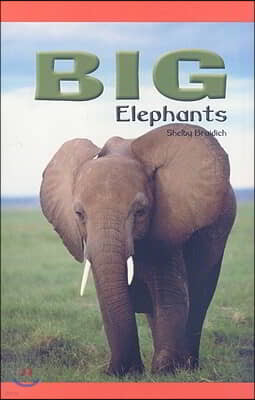 Big Elephants