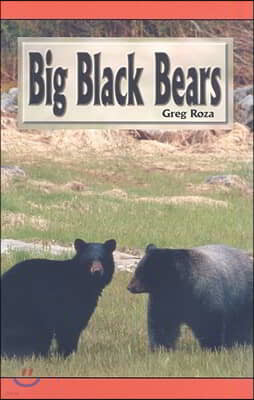 Big Black Bears