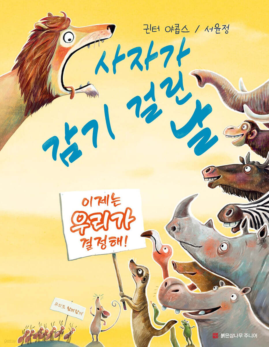 사자가 감기 걸린 날