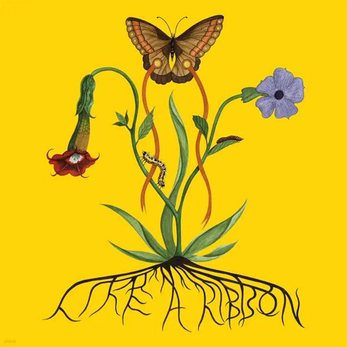 John Glacier (존 글레이서) - Like A Ribbon [LP]