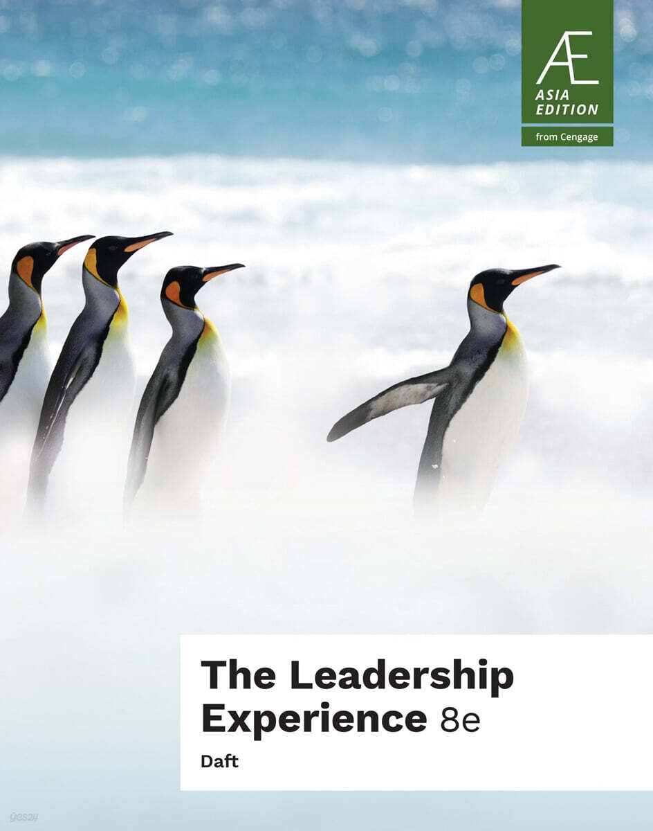 The Leadership Experience, 8/E (AE)
