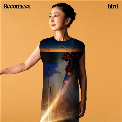 Bird,버드 — Reconnect 앨범 커버