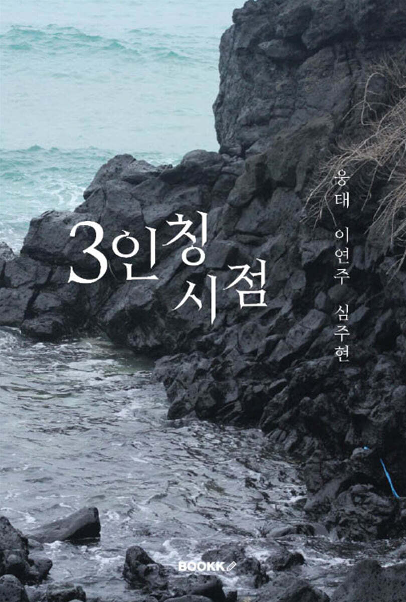 3인칭 시점