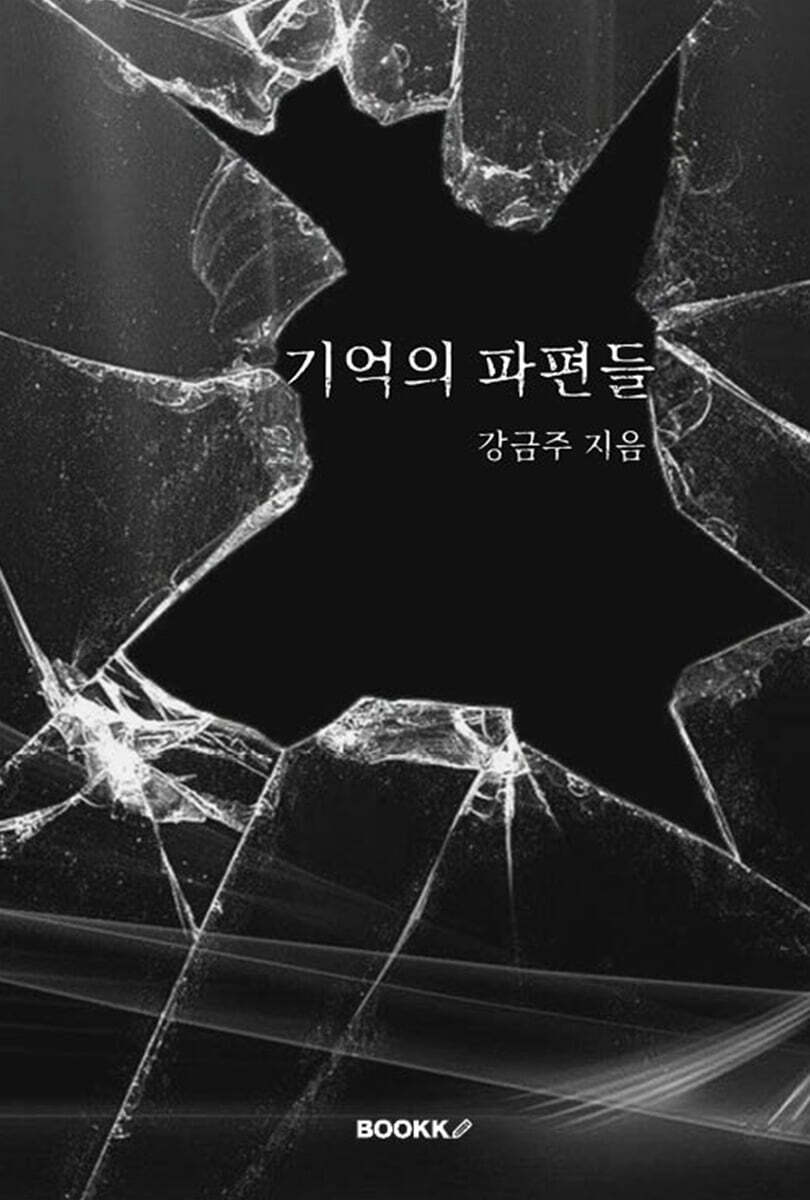 기억의 파편들