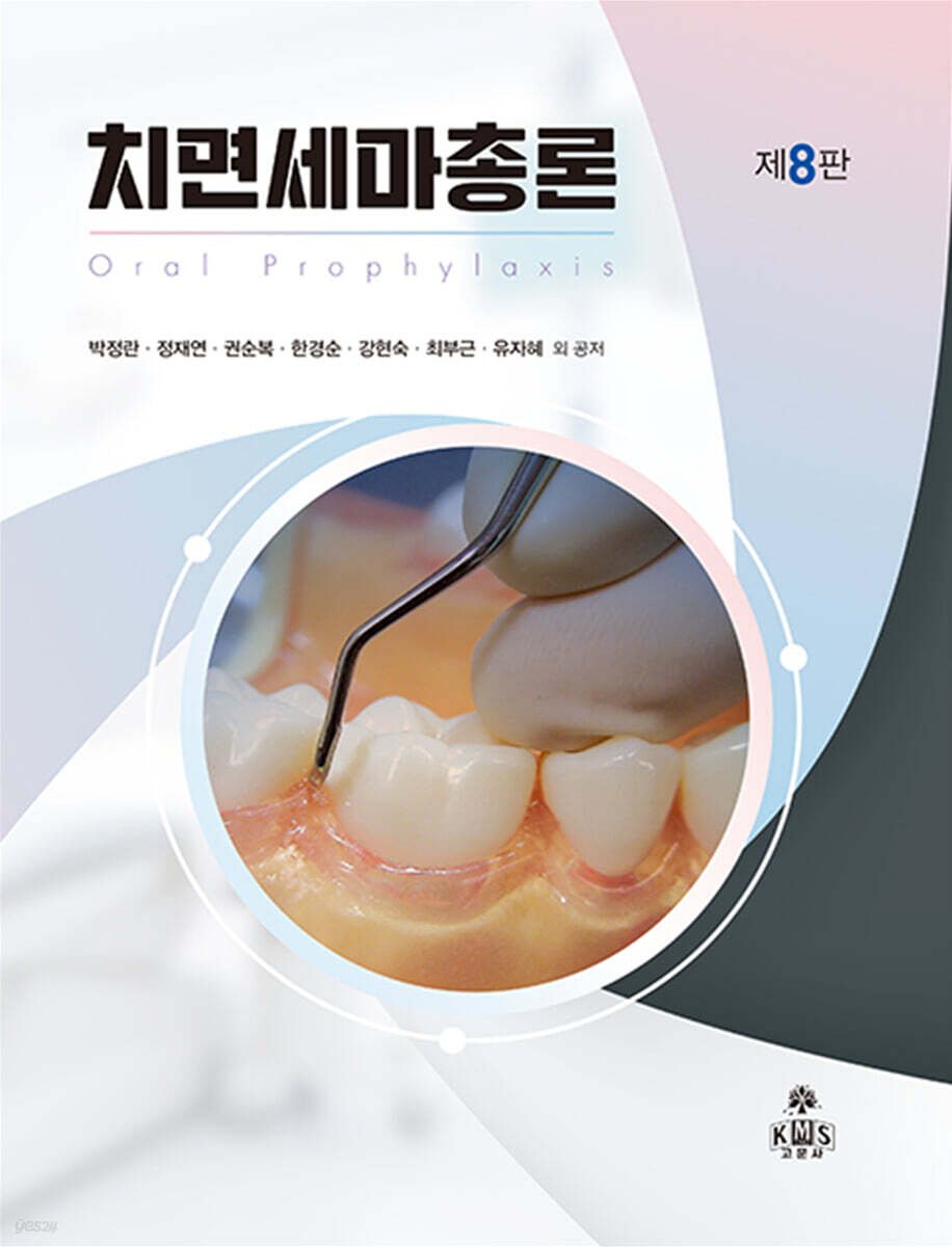 치면세마총론