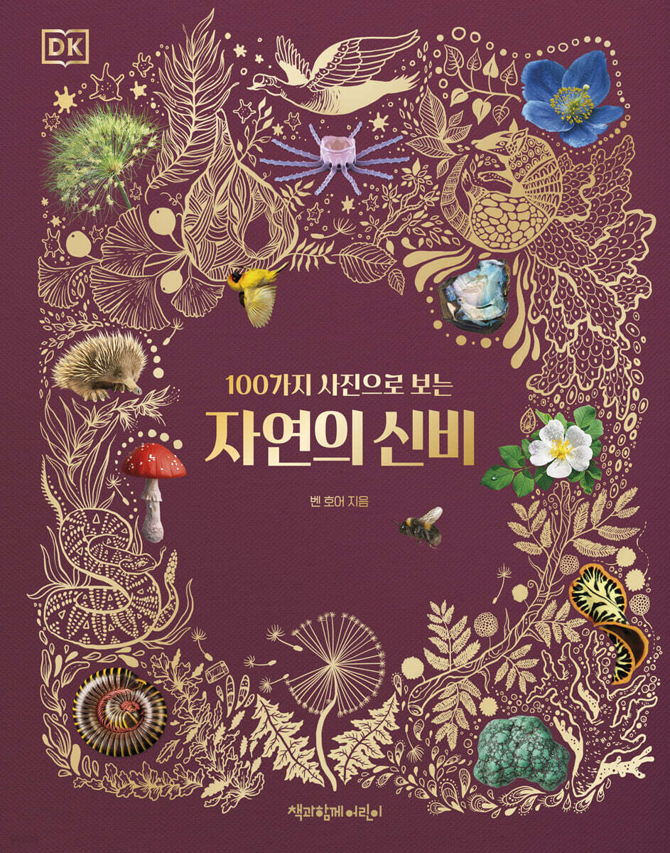 자연의 신비