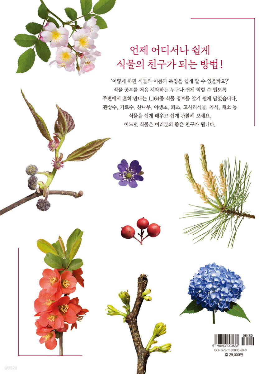 쉬운 식물책 - 예스24
