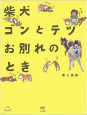 柴犬ゴンとテツ お別れのとき