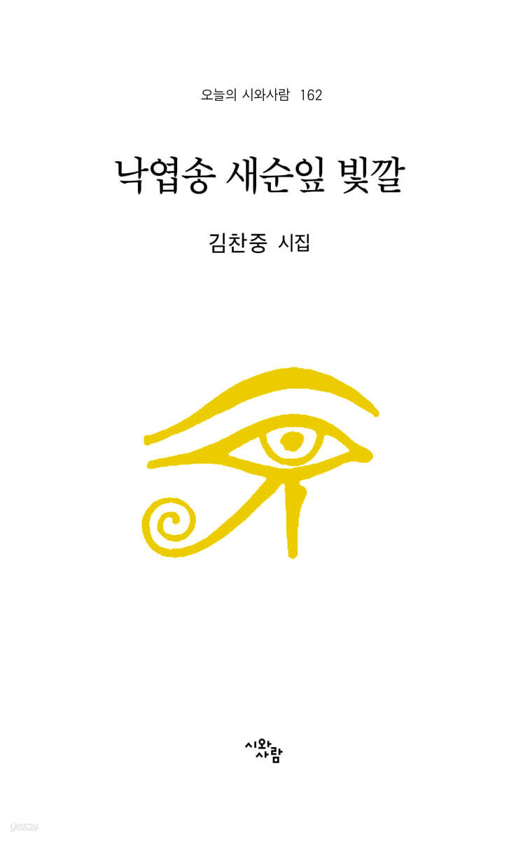 낙엽송 새순잎 빛깔