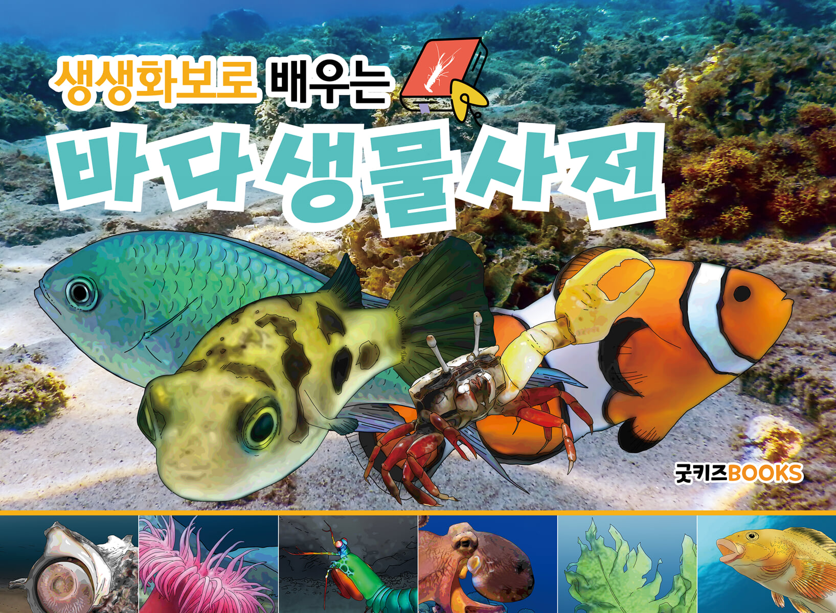 생생화보로 배우는 바다생물사전