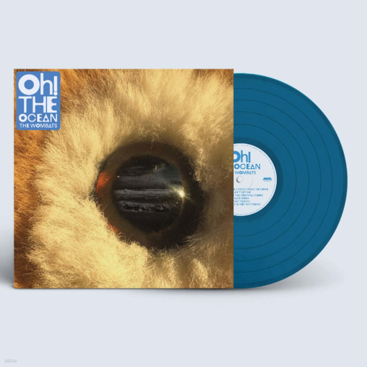 The Wombats (웜배츠) - Oh! The Ocean [투명 블루 컬러 LP]