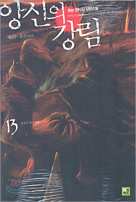 앙신의 강림 13