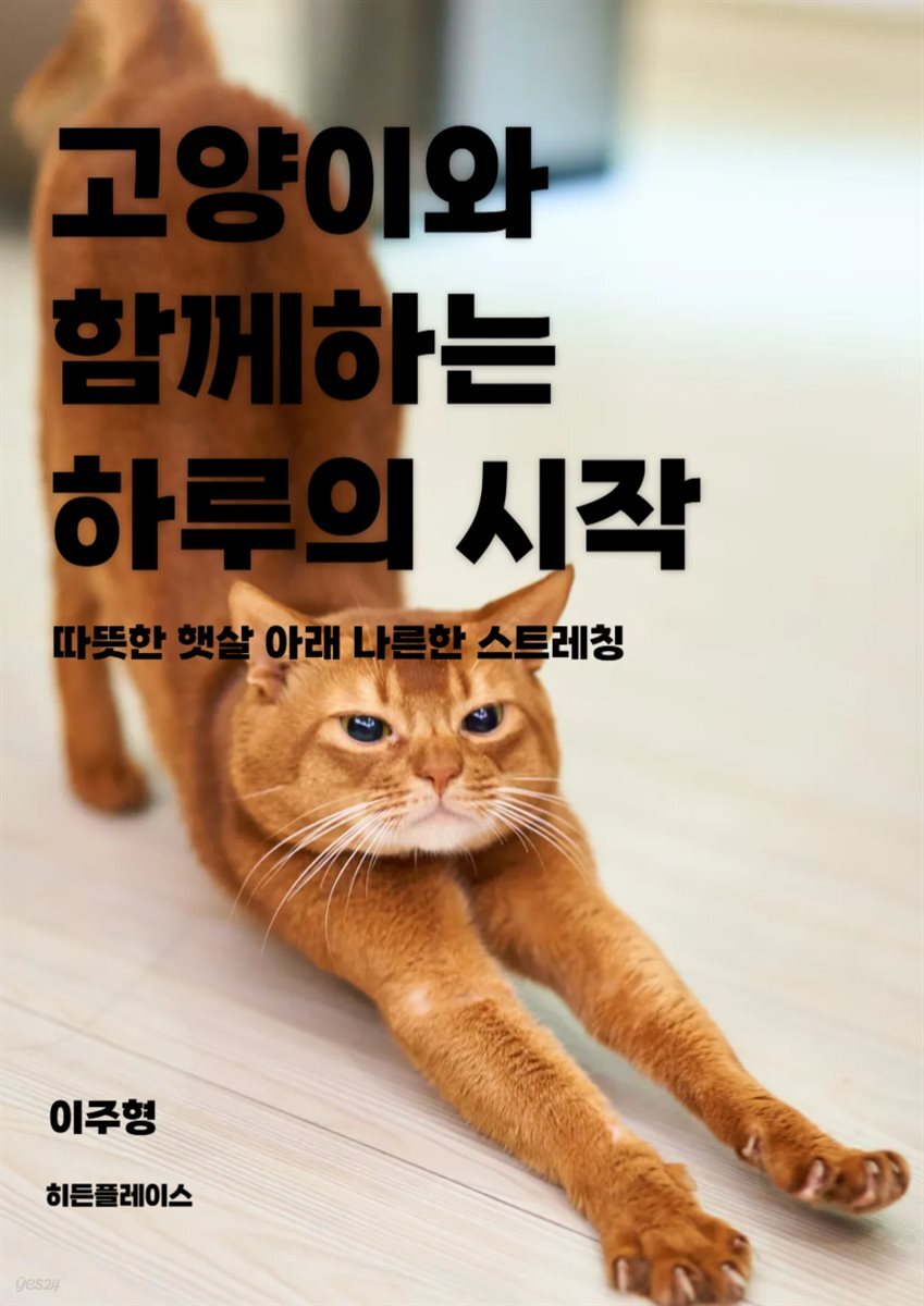 고양이와 함께 하는 하루의 시작