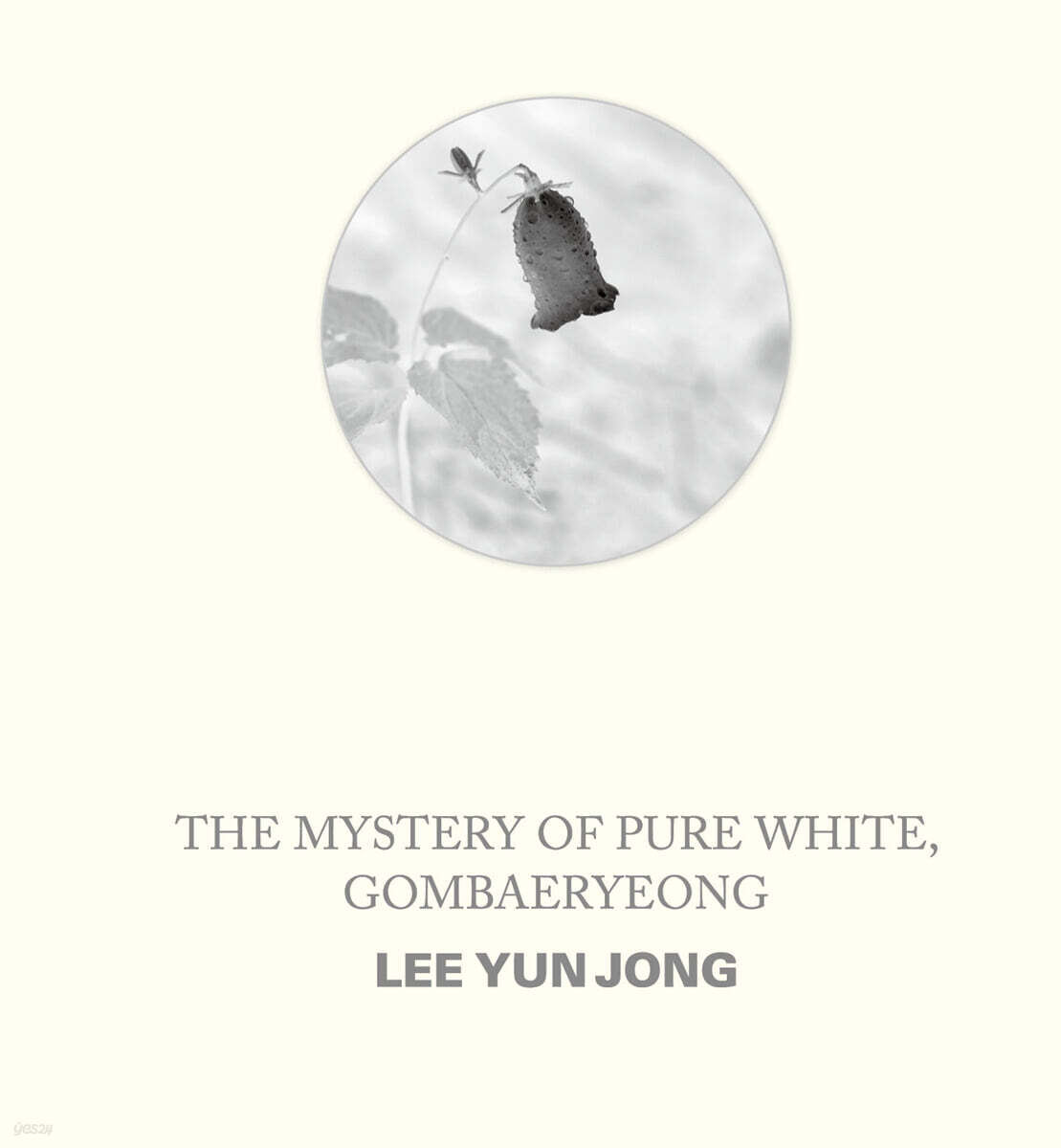 순백의 신비, 곰배령 (The Mystery of Pure White, Gombaeryeong)