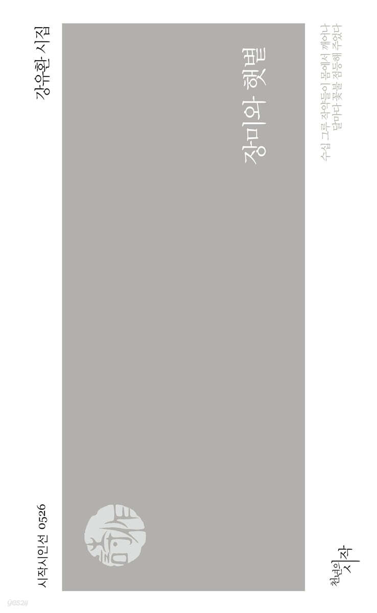 장미와 햇볕
