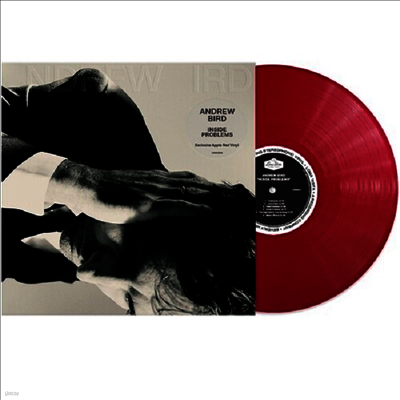 Andrew Bird — Inside Problems (US Indie Exclusive) 앨범 커버