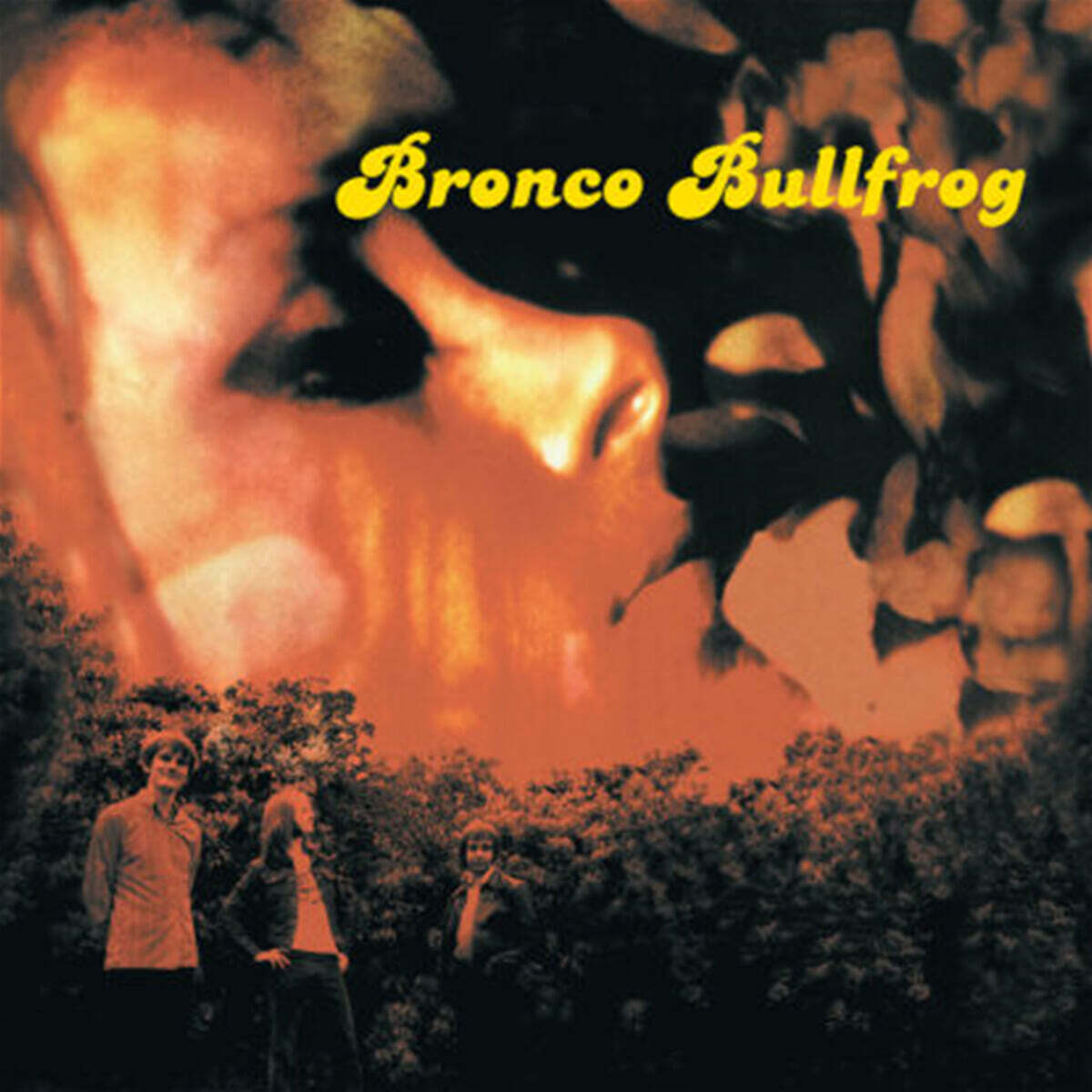 Bronco Bullfrog (브롱코 불프로그) - Bronco Bullfrog [2LP]