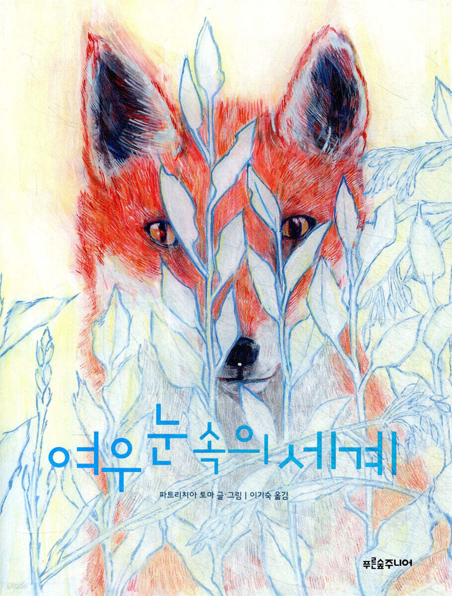 여우 눈 속의 세계