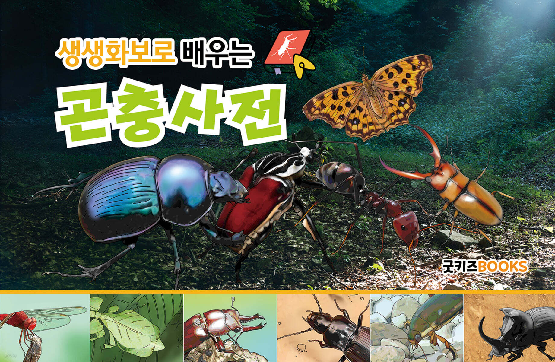 생생화보로 배우는 곤충사전 (보급판)