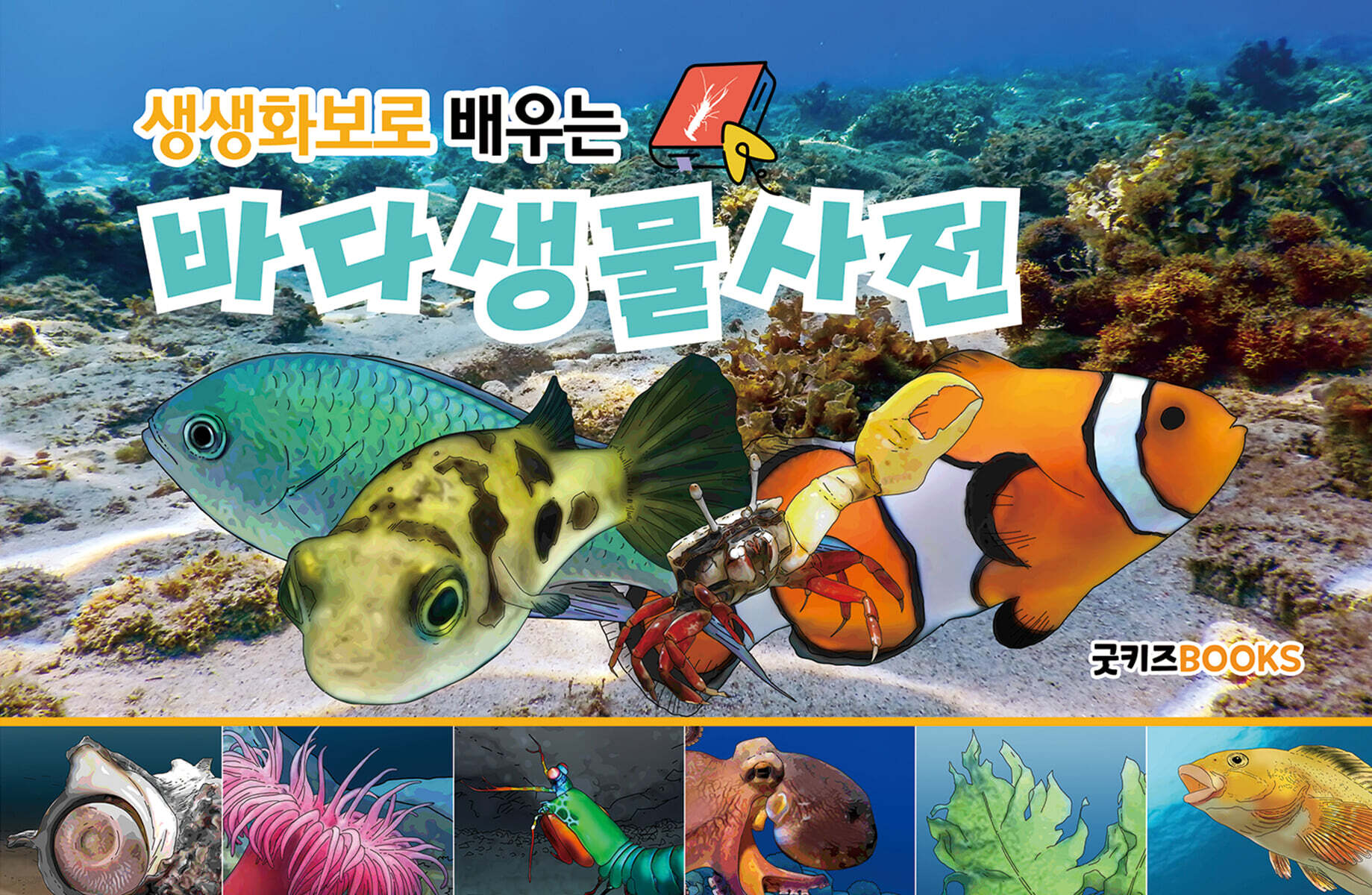 생생화보로 배우는 바다생물사전 (보급판)