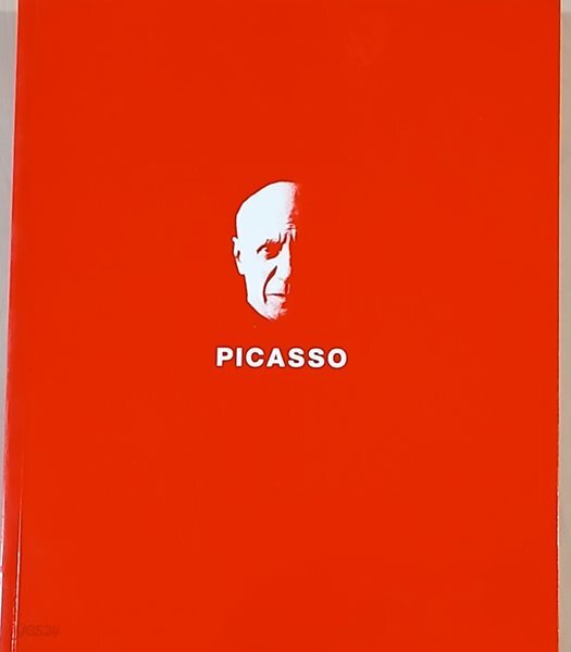 PICASSO(피카소)