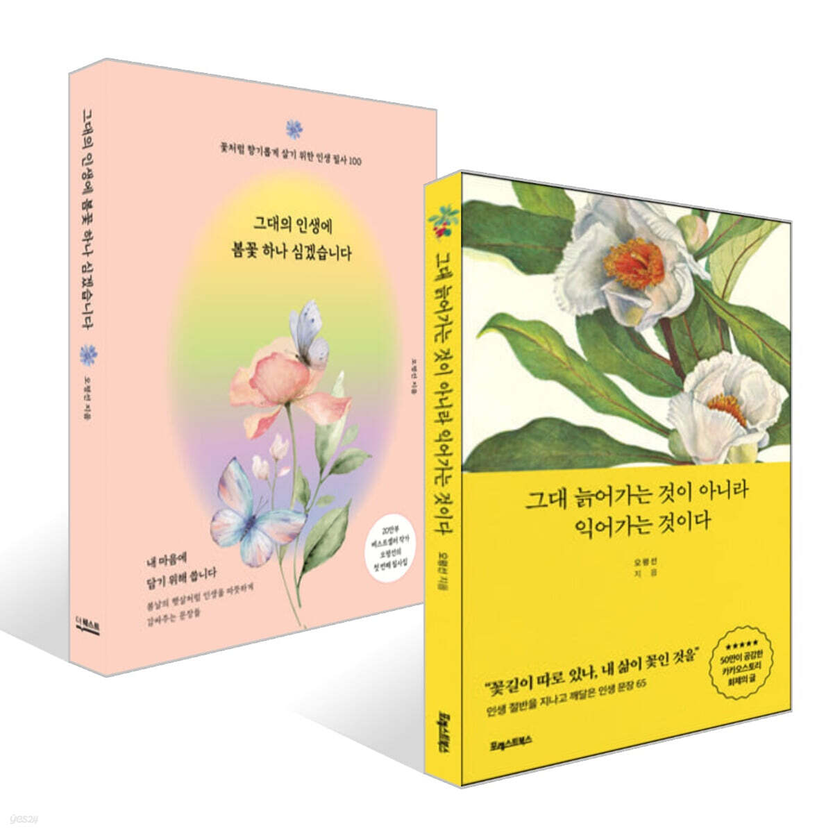 그대 늙어가는 것이 아니라 익어가는 것이다 + 그대의 인생에 봄꽃 하나 심겠습니다 세트