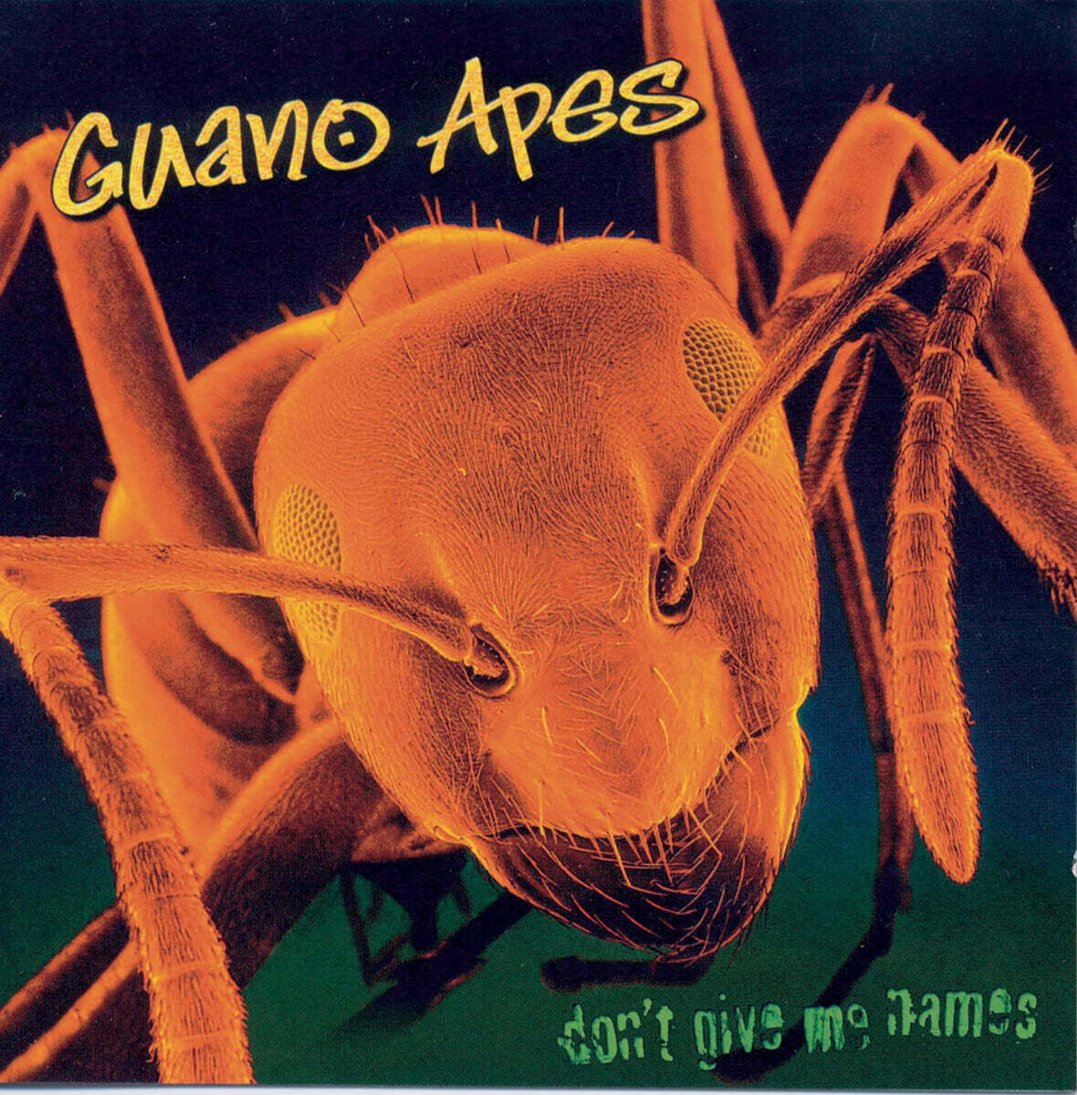Guano Apes (구아노 에입스) - Don't Give Me Names [LP]
