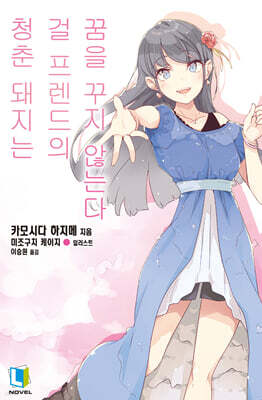 청춘 돼지는 걸 프렌드의 꿈을 꾸지 않는다