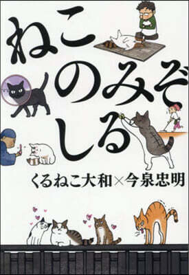 ねこのみぞしる