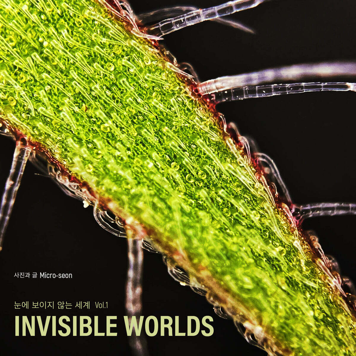 눈에 보이지 않는 세계 Vol.1 (Invisible Worlds)
