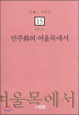 민주화의 여울목에서