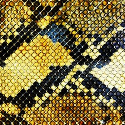 Amazing Snakeheads — Amphetamine Ballads 앨범 커버