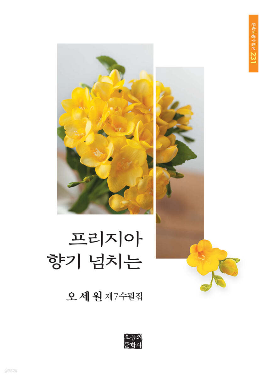 프리지아 향기 넘치는