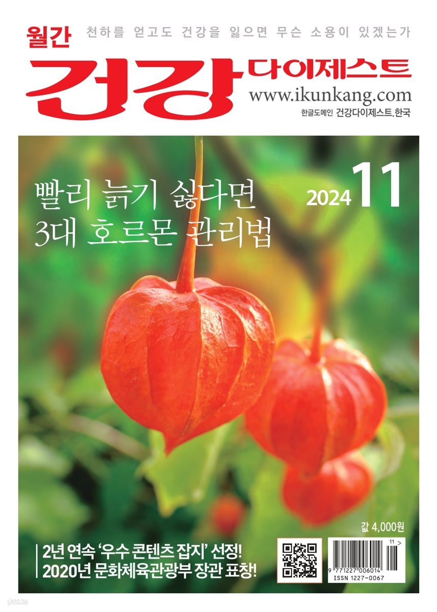건강다이제스트 2024년 11월