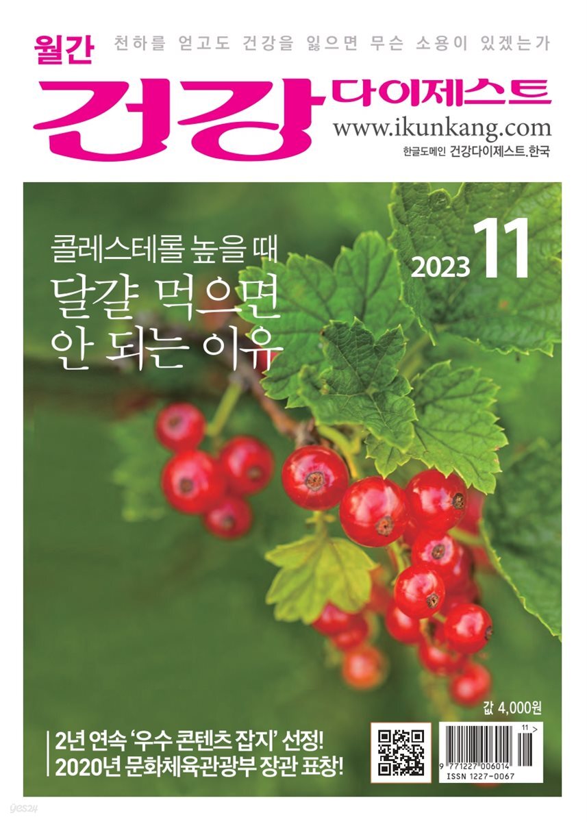 건강다이제스트 2023년 11월