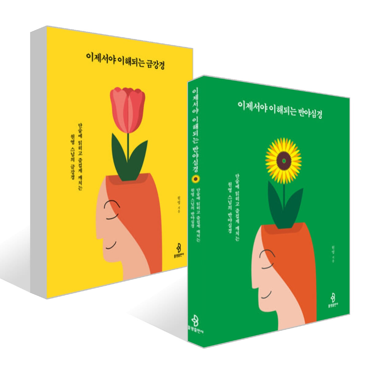 이제서야 이해되는 금강경 + 반야심경 세트