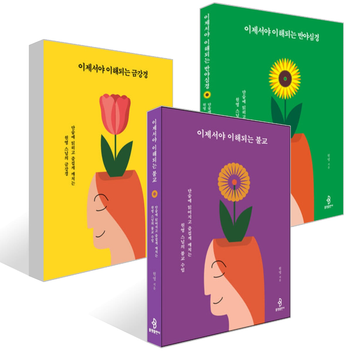 이제서야 이해되는 불교 + 금강경 + 반야심경 세트