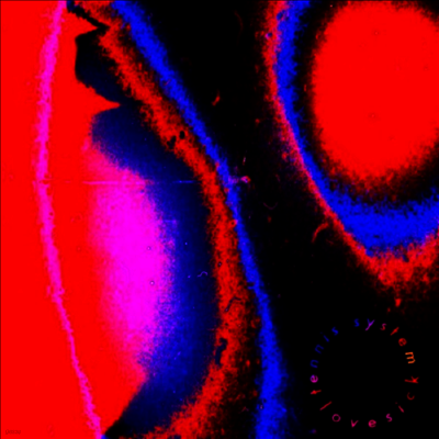Tennis System — Lovesick (US Indie Exclusive) 앨범 커버