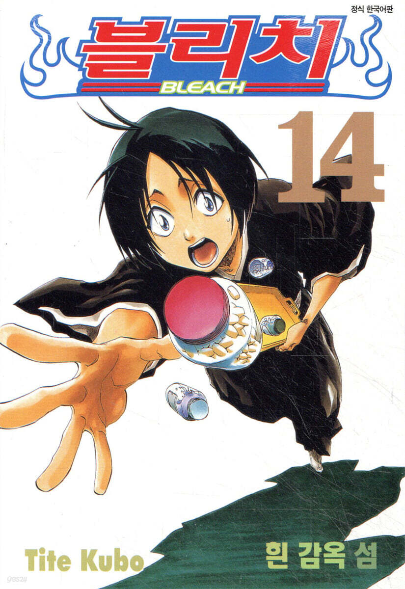 블리치 BLEACH 14
