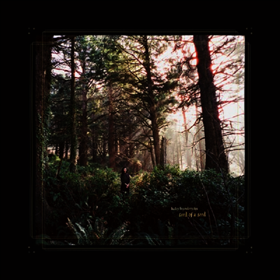 Haley Heynderickx — Seed Of A Seed (US Indie Exclusive) 앨범 커버
