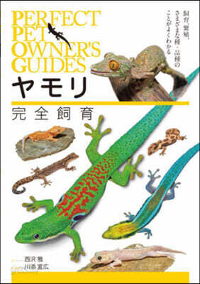 ヤモリ完全飼育