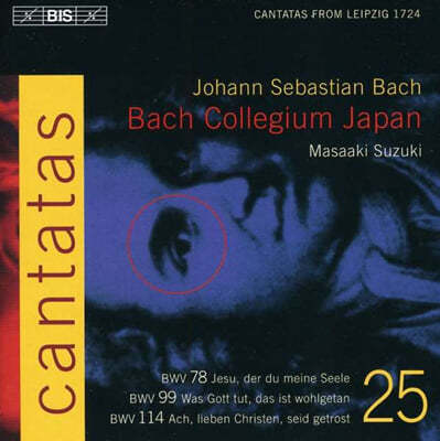 Yukari Nonoshita : ĭŸŸ 25 (Bach: Cantatas Vol.25) 