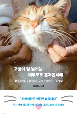 고냉이 털 날리는 제주도로 혼저옵서예